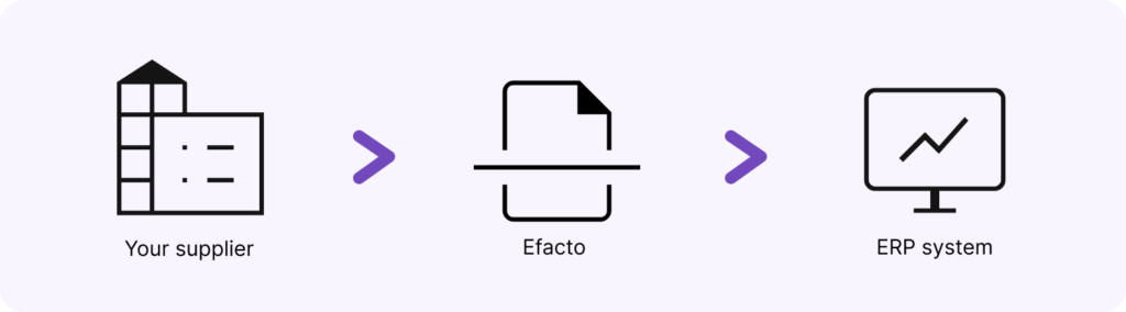 efacto process illustration